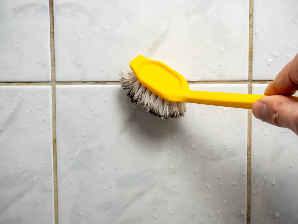Best Mold Damage Repair  in West Mountain, UT