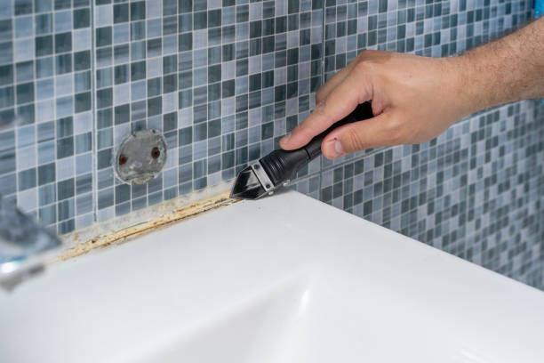 Best Certified Mold Removal  in West Mountain, UT