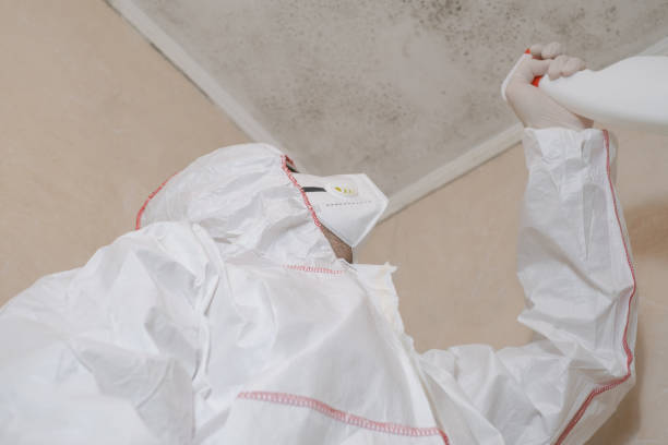 Best Crawl Space Mold Removal  in West Mountain, UT