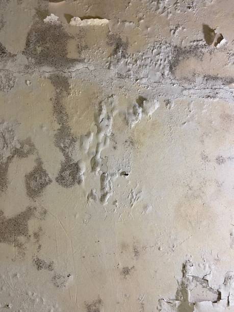 Best Water Damage Restoration  in West Mountain, UT