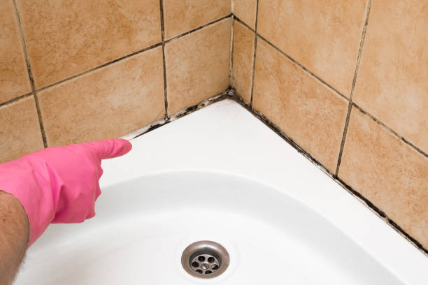 Best Mold Removal Process  in West Mountain, UT